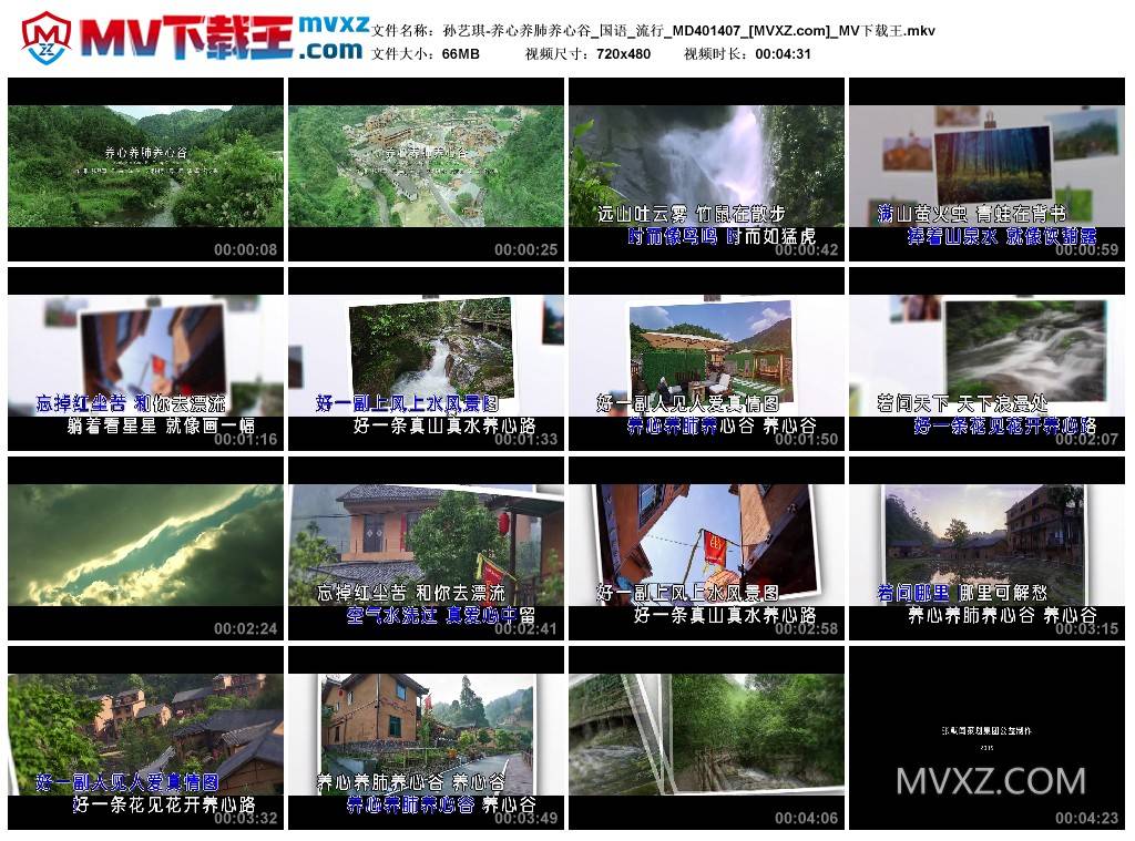 孙艺琪-养心养肺养心谷_国语_流行_MD401407
